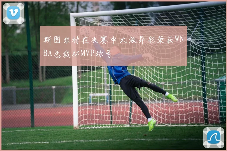 斯图尔特在决赛中大放异彩荣获WNBA总裁杯MVP称号